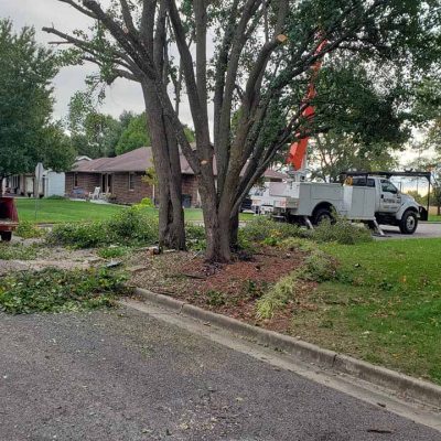 lawn tree service trucks clean up