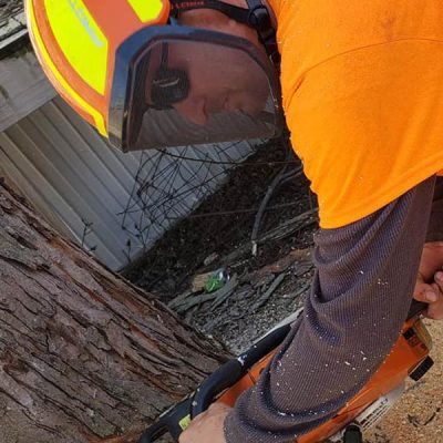 man cutting stumps tree removal