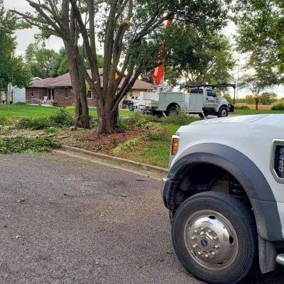 tree service trucks clean up
