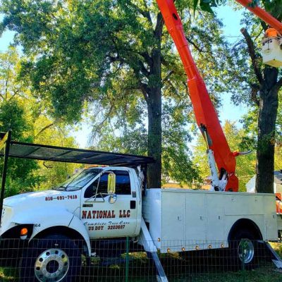 truck during tree service